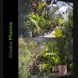 GLOBE PLANTS – BUNDLE 30 – INTERIOR POT PLANTS (Premium)