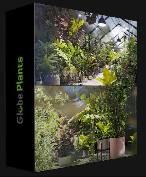 GLOBE PLANTS – BUNDLE 30 – INTERIOR POT PLANTS