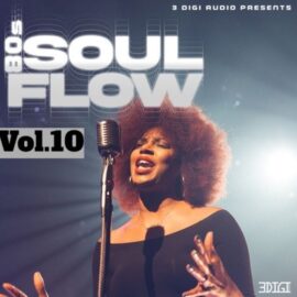 Innovative Samples 80’s Soul Flow Vol.10 [WAV] (Premium)