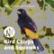 PSE: The Producer’s Library Bird Chirps and Squawks [WAV] (Premium)