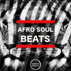 Samples Choice Afro Soul Beats [WAV] (Premium)