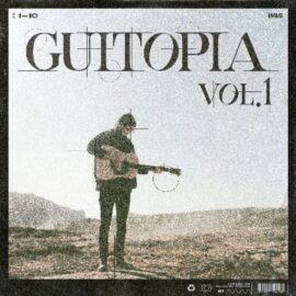 WAVS Hitsound Guitopia Vol.1 [WAV] (Premium)