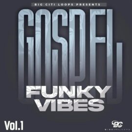 Big Citi Loops Gospel Funky Vibes Vol.1 [WAV] (Premium)