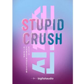 Big Fish Audio Stupid Crush K-Pop [WAV] (Premium)