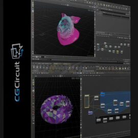 CGCIRCUIT – DISCOVERING HOUDINI VOP (Premium)