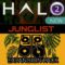 DHPlugins Halo 2 Junglist Expansion [DAW Addons] (Premium)