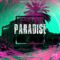 Dynasty Loops Paradise [WAV] (Premium)