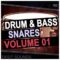 Eksit Sounds Drum and Bass Snares Volume 1 [WAV] (Premium)