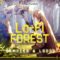 Future Samples Lo-Fi Forest [WAV, MiDi] (Premium)