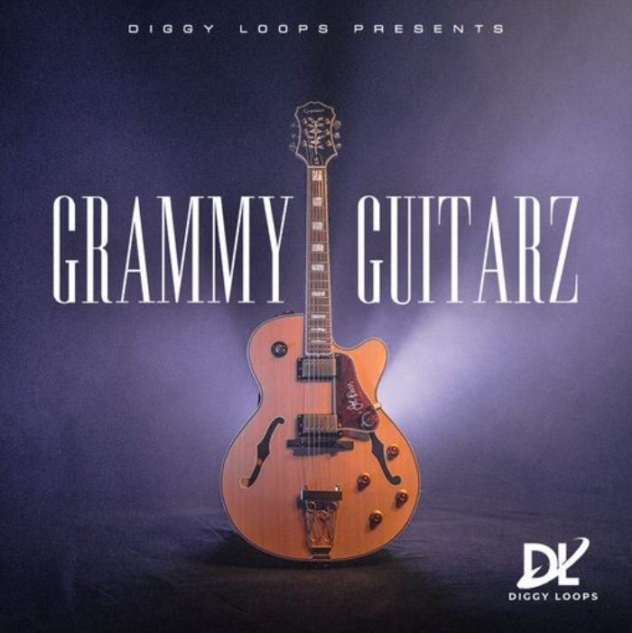 HOOKSHOW GRAMMY GUITARZ [WAV]