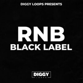 HOOKSHOW RnB Black Label [WAV] (Premium)