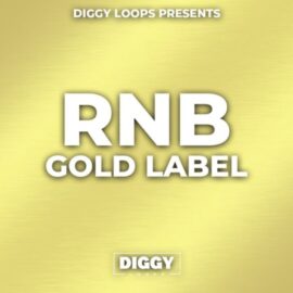 HOOKSHOW RnB Gold Label [WAV] (Premium)