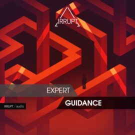 Irrupt Expert Guidance [WAV] (Premium)