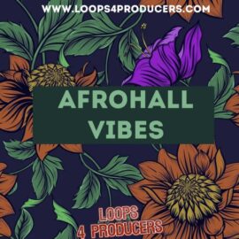 Loops 4 Producers AfroHall Vibes [WAV, MiDi] (Premium)