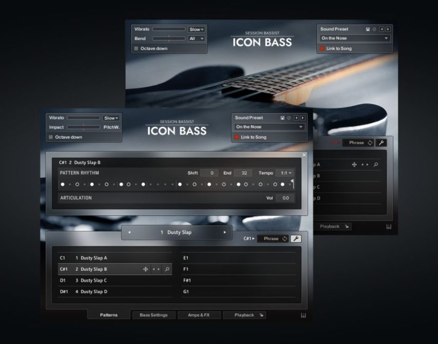 Native Instruments Session Bassist Icon Bass [KONTAKT]