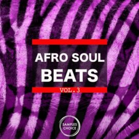 Samples Choice Afro Soul Beats Vol 3 [WAV] (Premium)