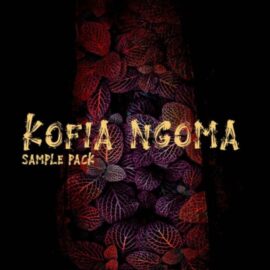 T-kid The Producer Kofia Ngoma Sample Pack [WAV, MiDi] (Premium)