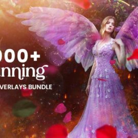 inkydeals 1000+ Stunning Overlays Bundle Free Download (Premium)