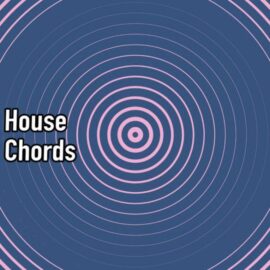 AudioFriend House Chords [WAV] (Premium)