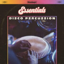Discotheque Essentials Disco Percussion [WAV] (Premium)