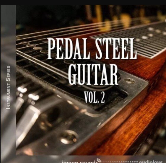 Image Sounds Pedal Steel Guitar 2