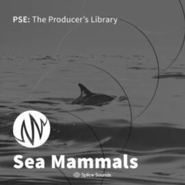 PSE: The Producers Library Sea Mammals [WAV] (Premium)