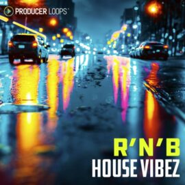 Producer Loops R&B House Vibez [MULTiFORMAT] (Premium)