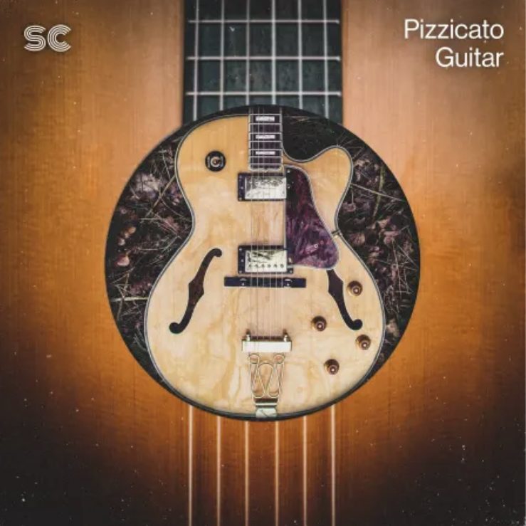 Sonic Collective Pizzicato Guitar [WAV]