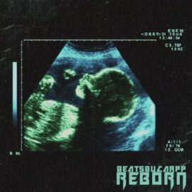 beatsbycarpp Reborn [WAV] (Premium)