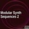 AudioFriend Modular Synth Sequences 2 [WAV] (Premium)