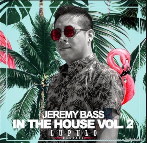 Dirty Music Jeremy Bass - In The House Vol. 2