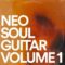 Jake Fine Neo Soul Guitar Sauce Vol.1 [WAV]