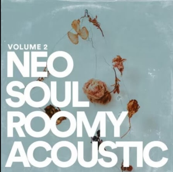 Jake Fine Neo Soul Guitar Sauce Vol.2 Roomy Acoustic