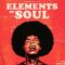 Sonix Elements of Soul [WAV, MiDi, Synth Presets] (Premium)