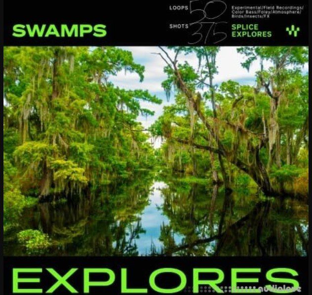 Splice Explores Swamps