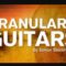 Steinberg Granular Guitars Padshop Expansion (Premium)