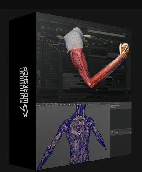 THE GNOMON WORKSHOP – INTRODUCTION TO ZIVA VFX VOLUME 1