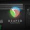 Cockos REAPER v6.81 / v6.35 [WiN, MacOSX]  (Premium)