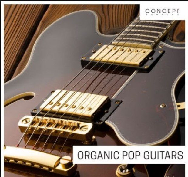 Concept Samples Organic Pop Guitars