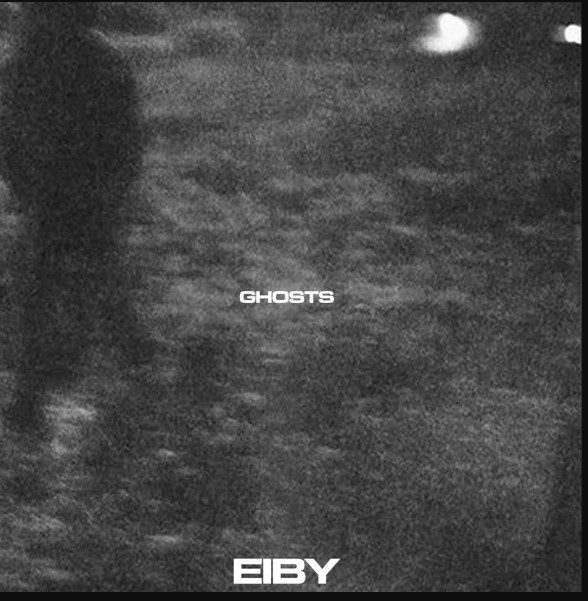 Eiby GHOSTS (Compositions and Stems)