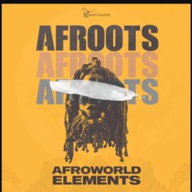 Maestro Sounds Afroots Afroworld Elements [WAV, MiDi] (Premium)