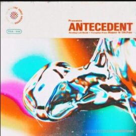 Oh2uu Antecedent [WAV, Synth Presets] (Premium)