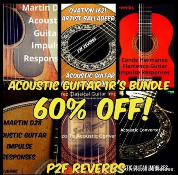 PastToFutureReverbs Acoustic Guitar IR's BUNDLE