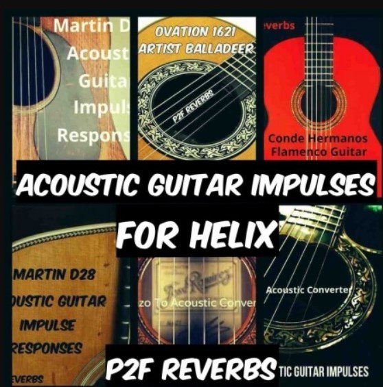 PastToFutureReverbs Acoustic Guitar IR's for Helix BUNDLE! Bonus D-45!