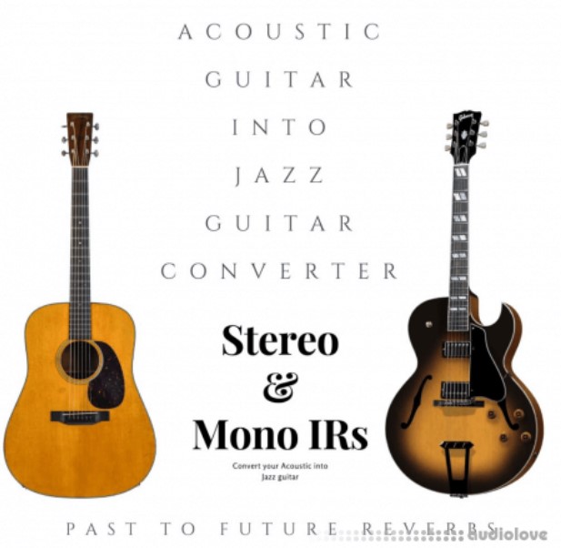 PastToFutureReverbs Acoustic Guitar Into Jazz Guitar Converter