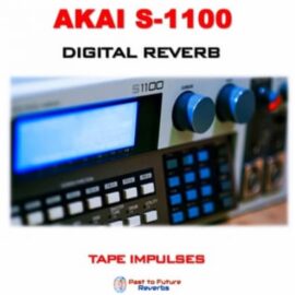 PastToFutureReverbs S1100 EB-16 Digital Reverb! (Analog Tape)! (Premium)