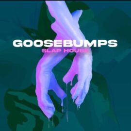 Production Master Goosebumps Slap House [WAV, Synth Presets] (Premium)