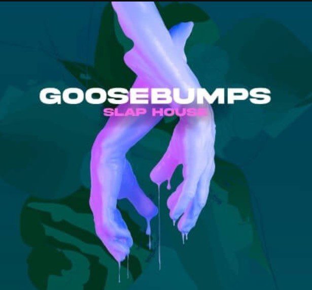 Production Master Goosebumps Slap House