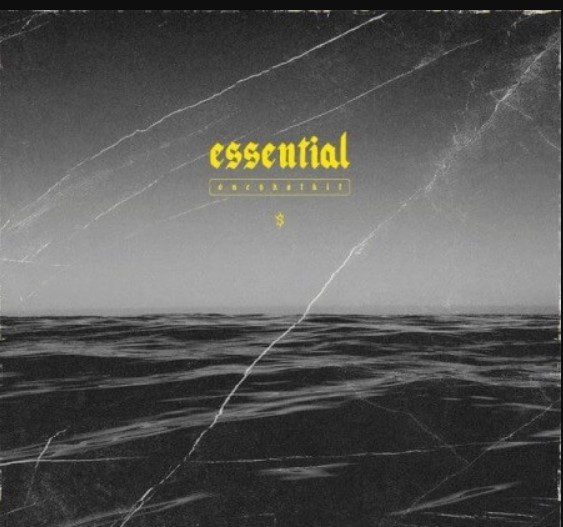 SAMUDAI Essential Bundle