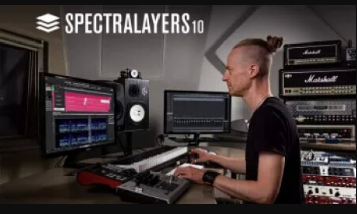 Steinberg SpectraLayers 10 v10.0.10